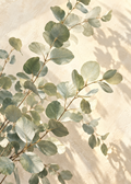 Sous les eucalyptus
