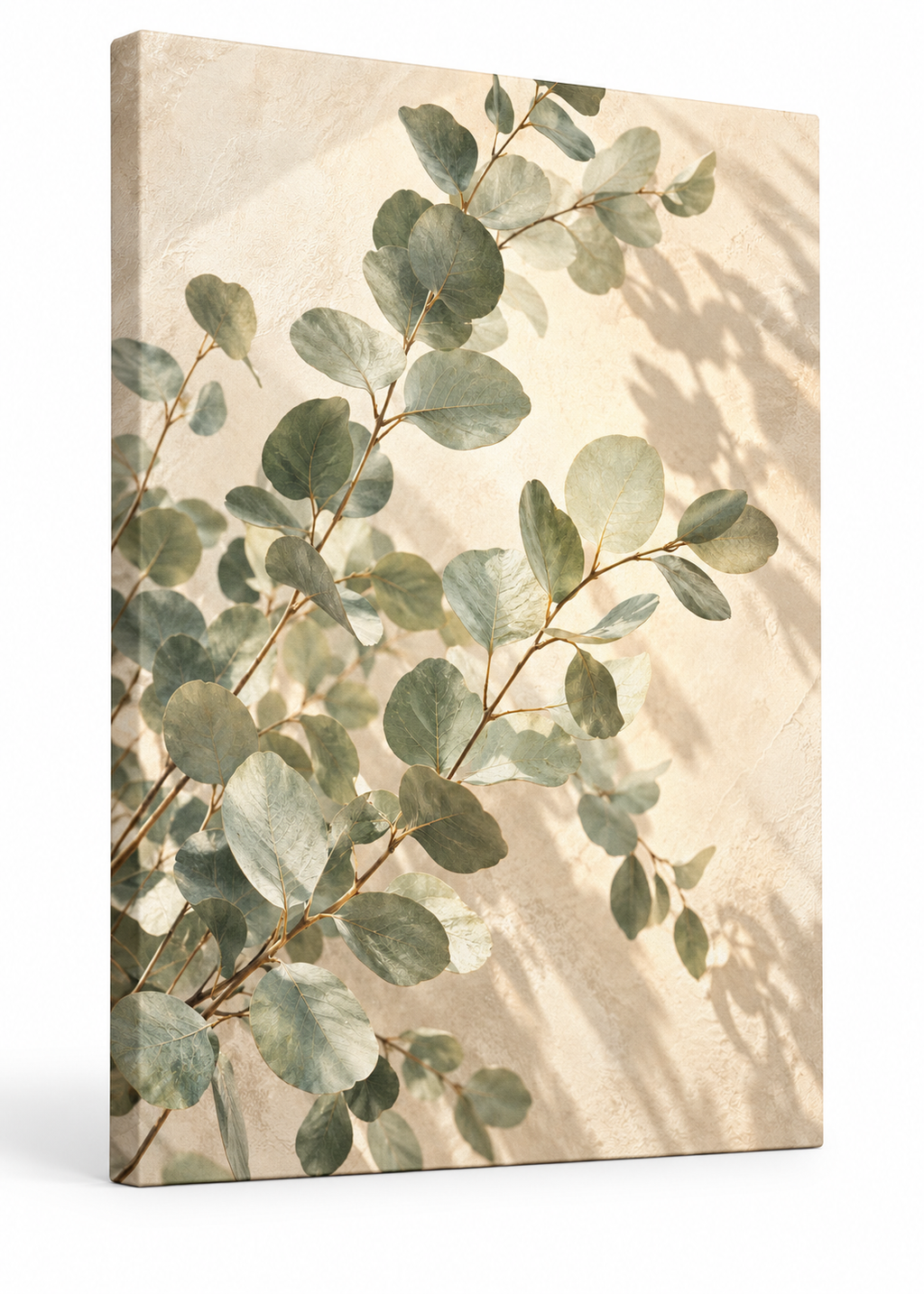 Sous les eucalyptus