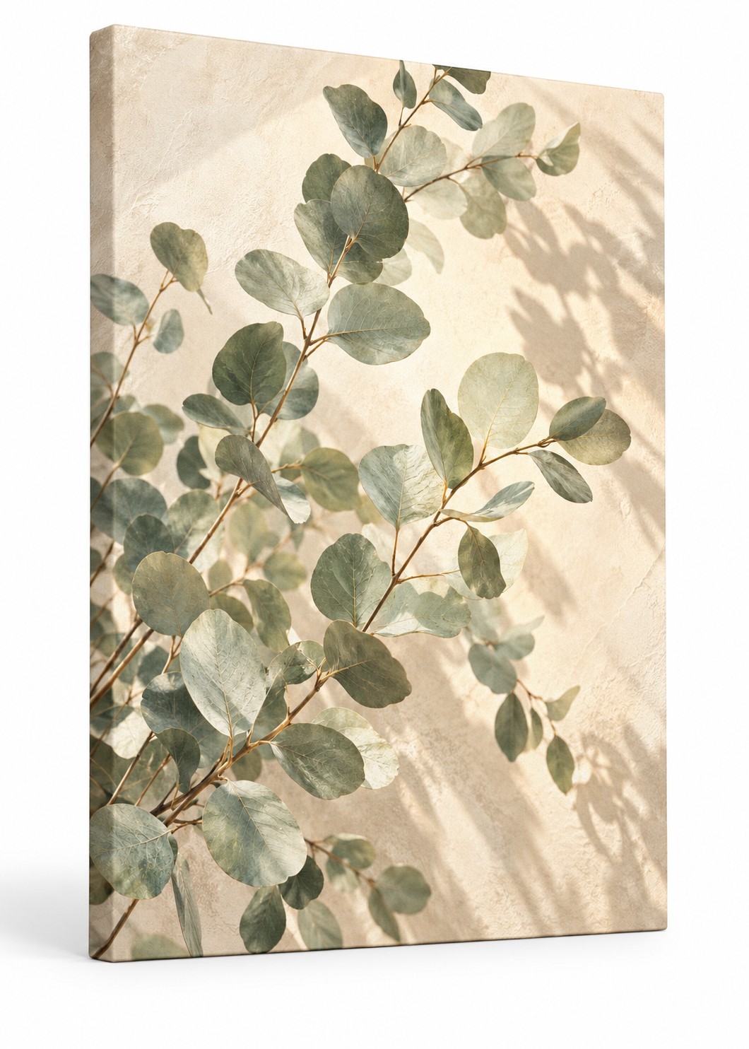 Sous les eucalyptus