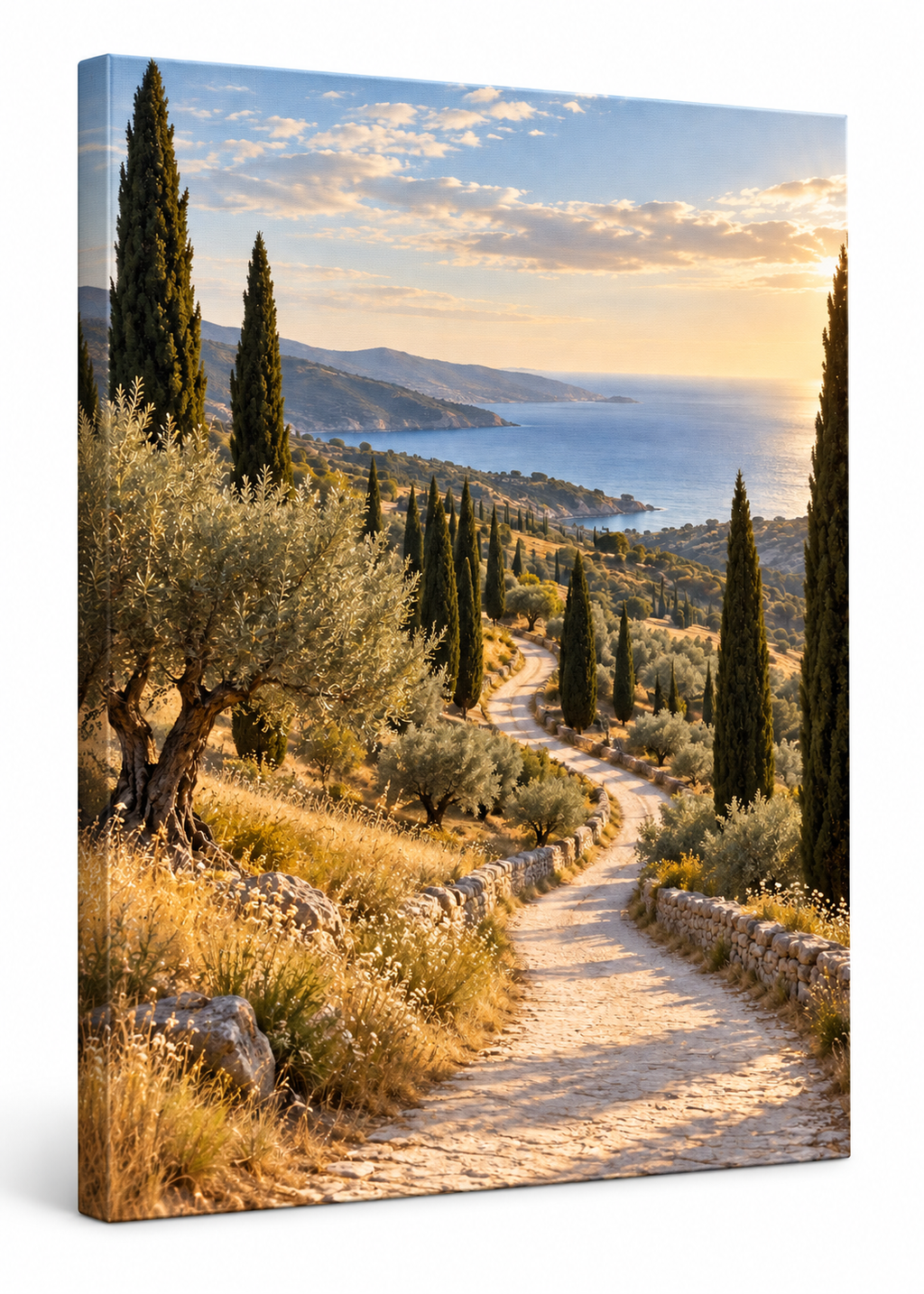La Route des cyprès